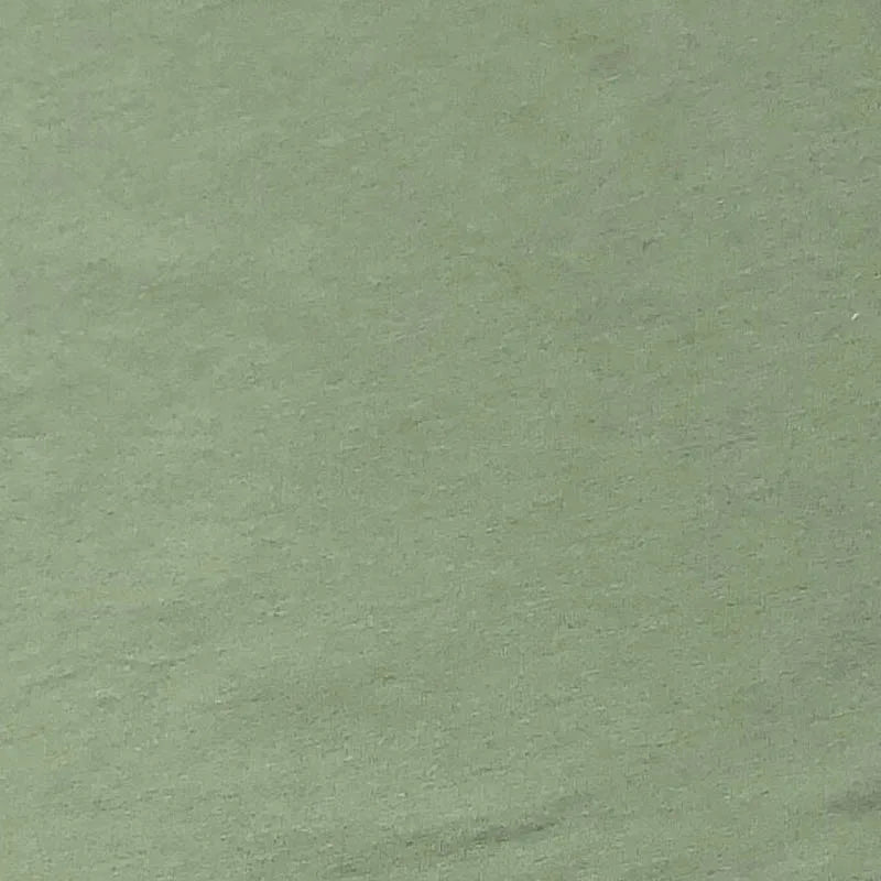 I wish i could but i don't want to T-shirt